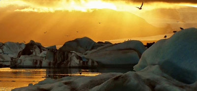 dt glacier lagoon evening zodiac tour