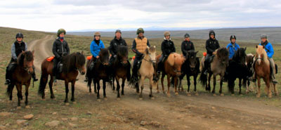 dt horse riding skagafjordur