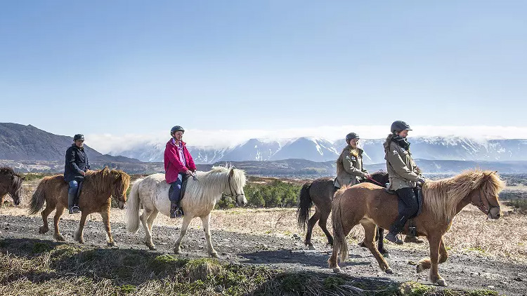 horseback riding lava tour